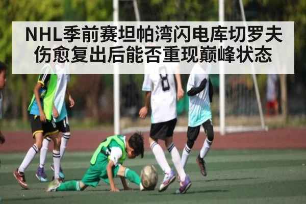 NHL季前赛坦帕湾闪电库切罗夫伤愈复出后能否重现巅峰状态